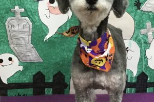 10月のお友達☆