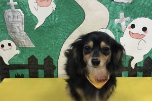 10月のお友達☆