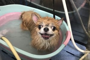 10月のお友達☆