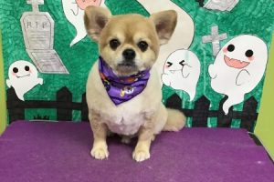 10月のお友達☆