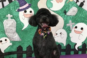 10月のお友達☆