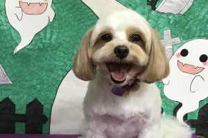 10月のお友達☆