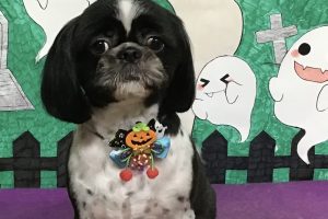 10月のお友達☆