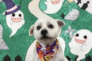 10月のお友達☆