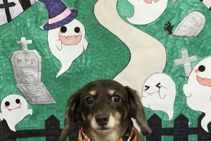 10月のお友達☆