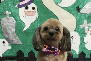 10月のお友達☆