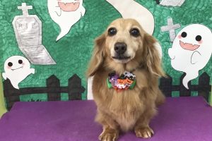 10月のお友達☆