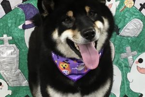 10月のお友達☆