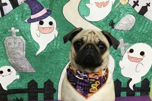 10月のお友達☆