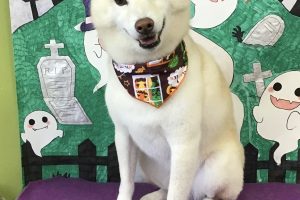 10月のお友達☆