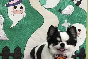10月のお友達☆