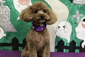 10月のお友達☆