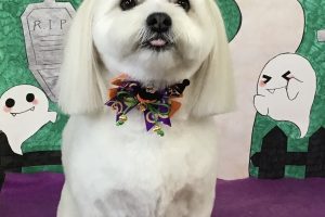 10月のお友達☆