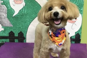 10月のお友達☆