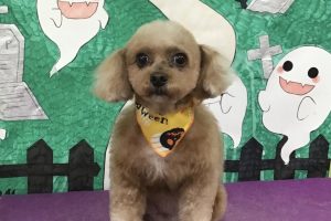 １０月のお友達☆