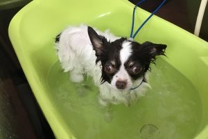 10月のお友達☆