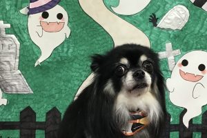 10月のお友達☆