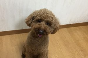 お泊まり☆