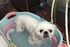 10月のお友達☆