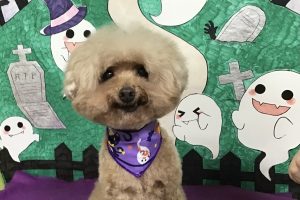 10月のお友達☆