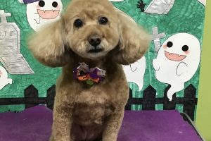 10月のお友達☆