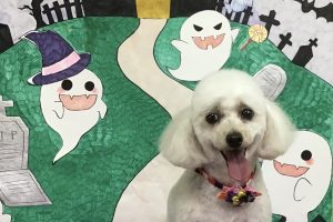10月のお友達☆