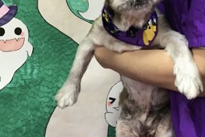 10月のお友達☆