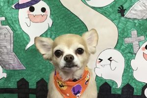 10月のお友達☆