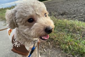 お泊まり中☆