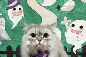 10月のお友達☆