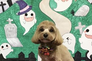 10月のお友達☆