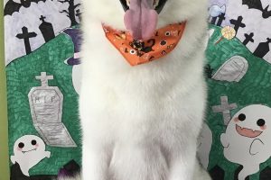 10月のお友達☆