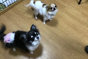 お泊り☆