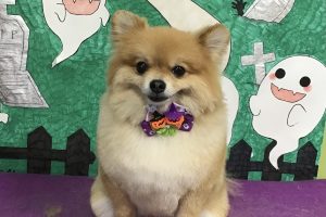 10月のお友達☆