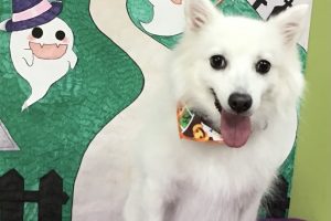 10月のお友達☆