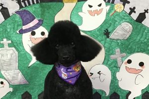 10月のお友達☆