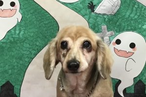 10月のお友達☆