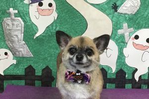 10月のお友達☆