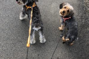 10月のお友達☆
