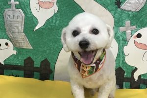 10月のお友達☆