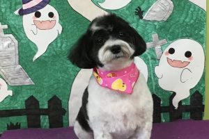 10月のお友達☆