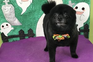 10月のお友達☆