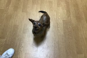 お泊り☆