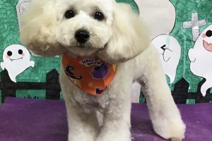 10月のお友達☆