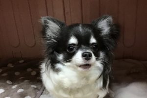 お泊まり中☆