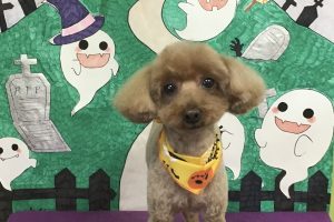 10月のお友達☆