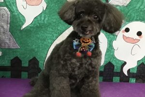 10月のお友達☆