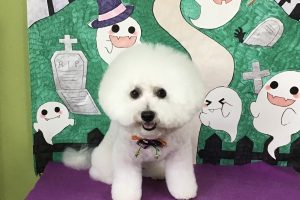 10月のお友達☆