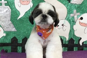 10月のお友達☆