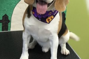 10月のお友達☆